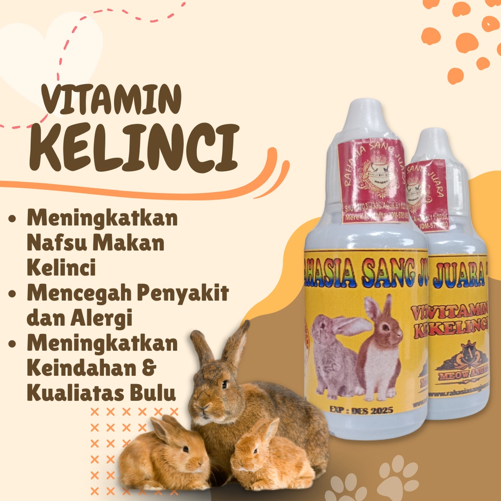 VITAMIN KELINCI UNTUK BULU, KESEHATAN, DAN NAFSU MAKAN