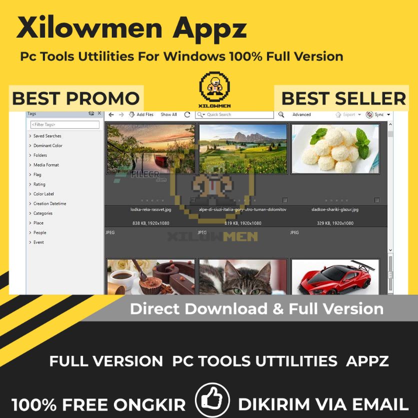 [Full Version] Daminion Pro PC Tools Software Utilities Lifetime Win OS