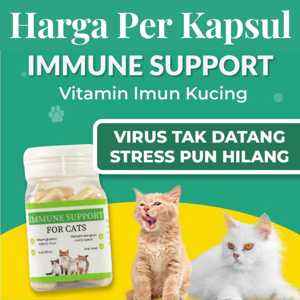 Vitamin Imun Kucing Anti Virus Meningkatkan Sistem Imun Anti Stres Immune Support Harga Per Kapsul FEFARM