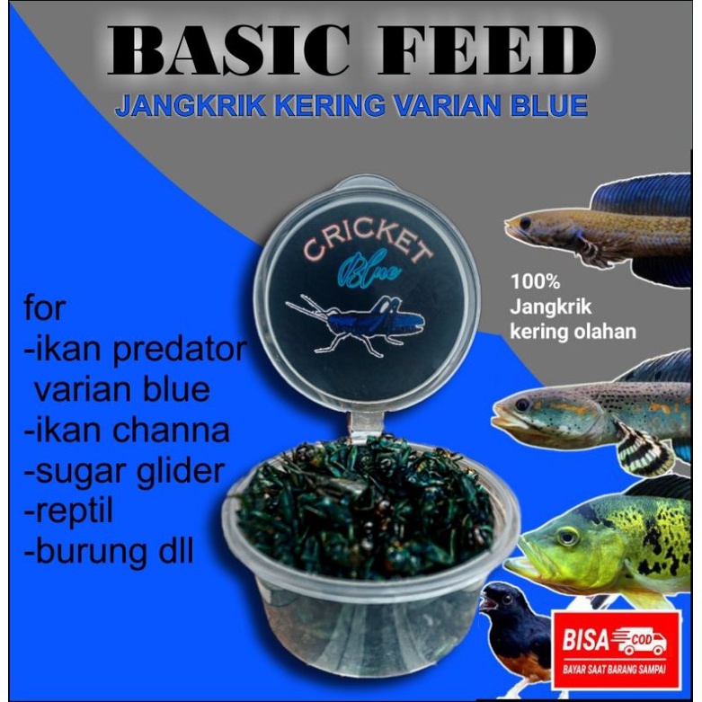 jangkrik kering blue Basic Feed 15gr | makanan ikan predator | pakan channa