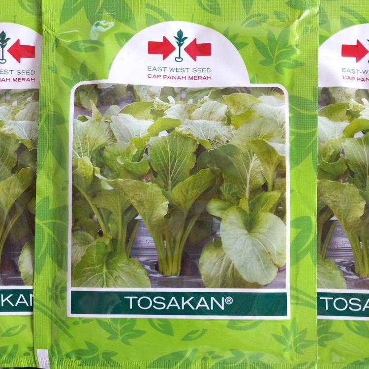 

Jangan Sampai Kehabisan!!!❄️ Tosakan 25gram Benih Sawi Hijau Caisim