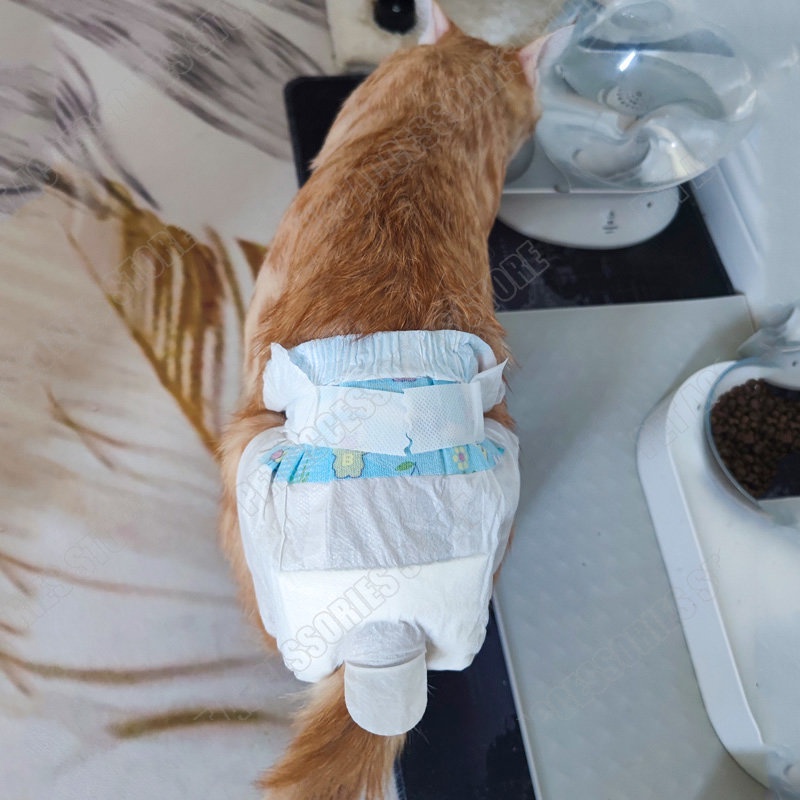 1 Paket Pet Diapers Anjing Diapers Kucing Popok Anjing Anti Bocor