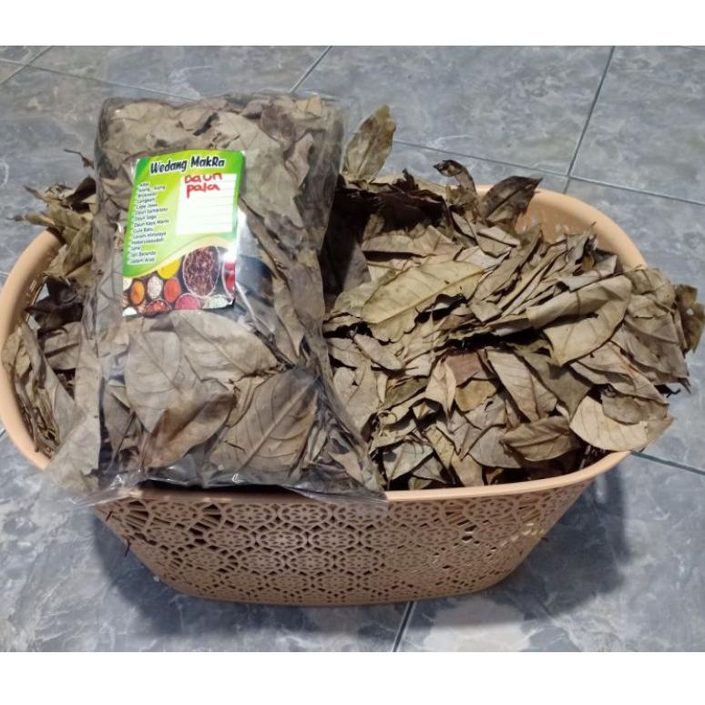 

J98 Daun pala kering 1kg BARANG TERUPDATE ⇎