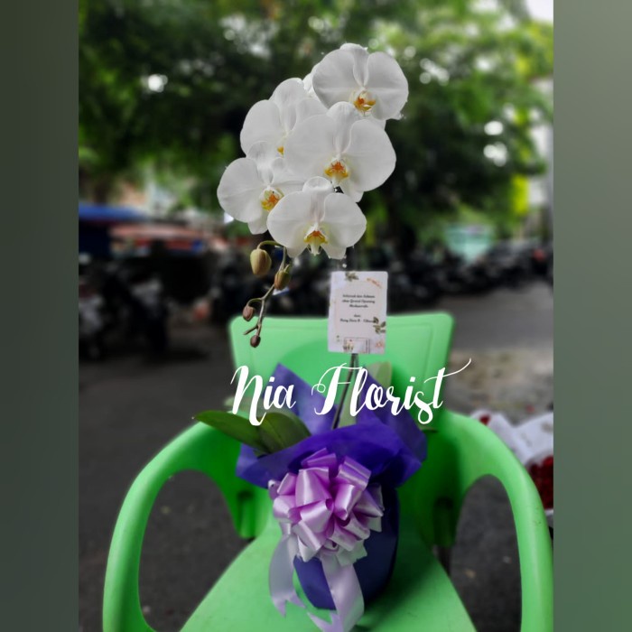 

Rangkaian Bunga Anggrek Hampers Lebaran Parcel Gift Ulang Tahun