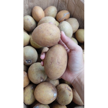 

sawo sukatali 1kg