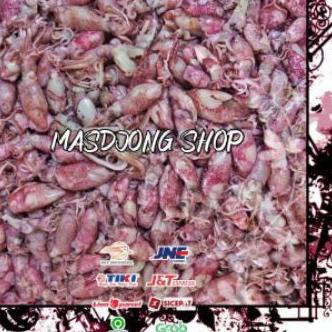 

✵ BABY CUMI TELUR ASIN REBUS SIZE (0.5 - 2cm)(1000gr/1kg). ☪