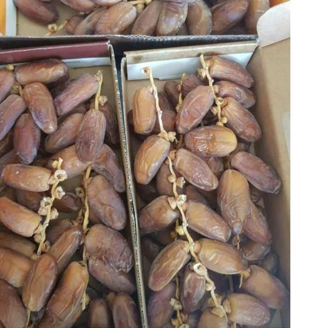 

✾ KURMA TANGKAI EL RIAD DATES 500gr/ TUNISIA TANGKAI ●