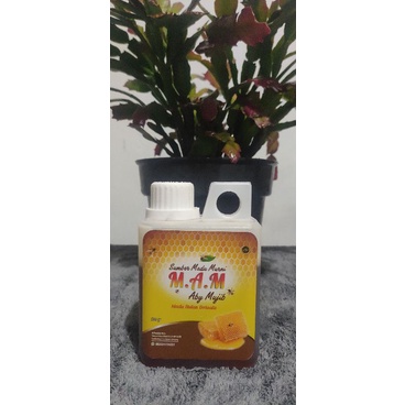 

madu hutan dorsata 500g