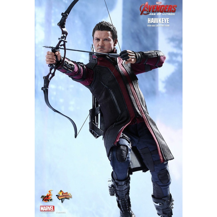 Hot Toys 1/6th Scale  Avengers Age Of Ultron Hawkeye MISB