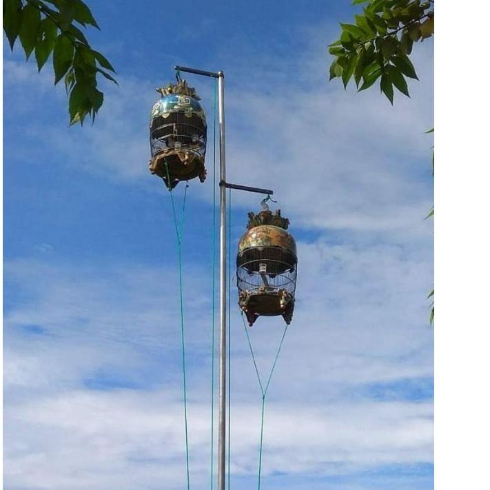 Kerekan burung perkutut .. ..