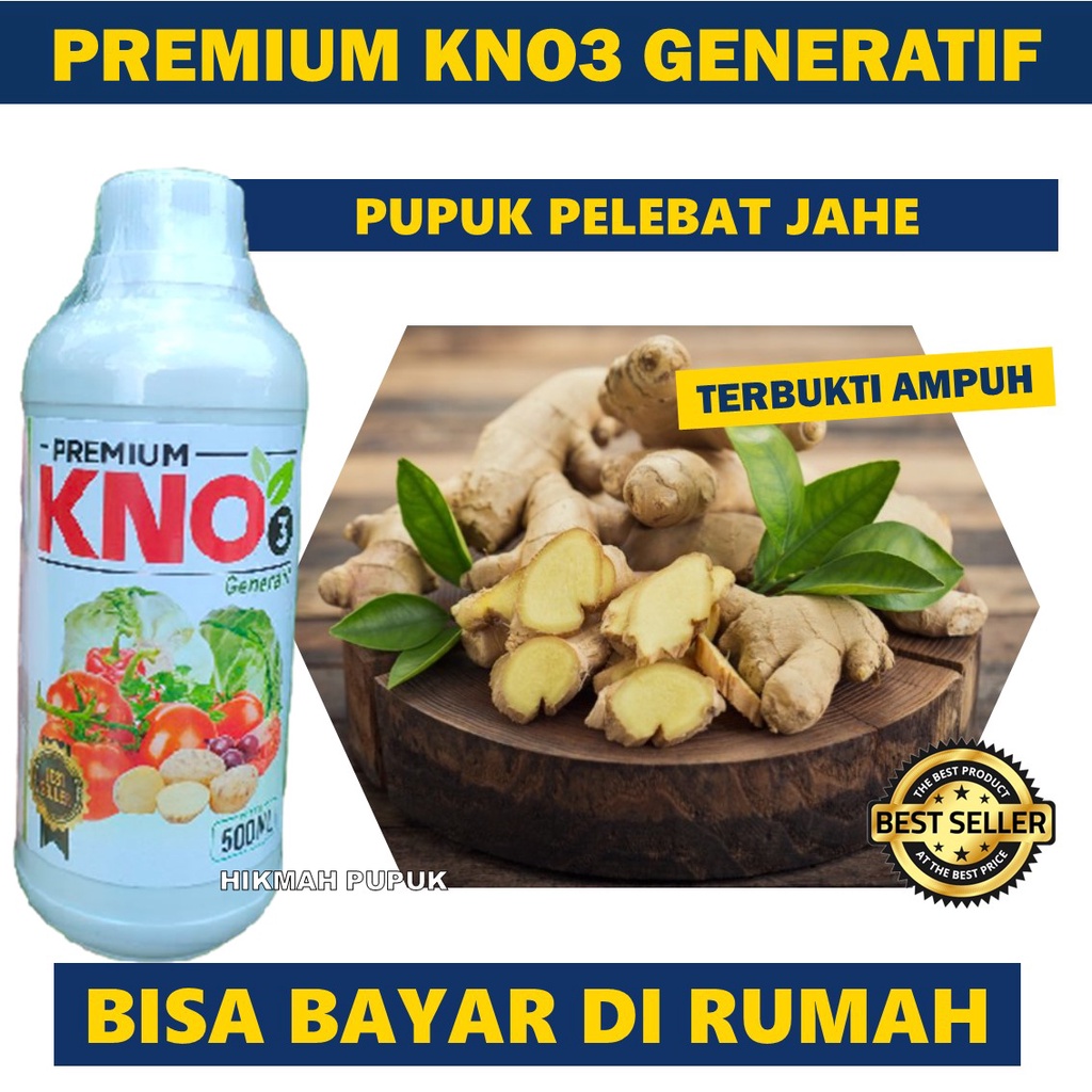 Pupuk Jahe Murah PREMIUM KNO3 Obat Jahe Biar Subur dan Banyak - Pupuk Semprot Cair Sayuran Jahe Hasi