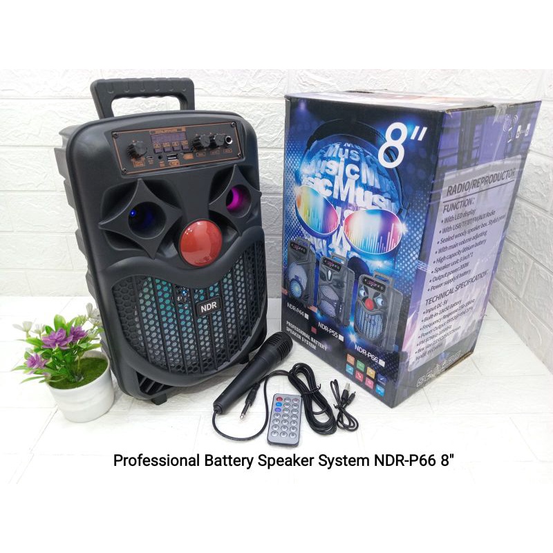 speaker portable NDR 8 inch model P66 wireless modeln trolley