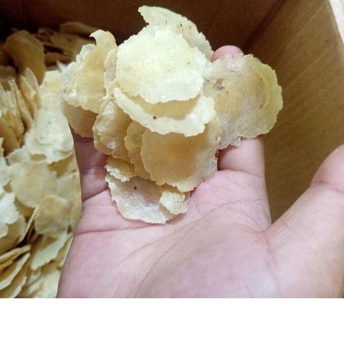 

☂ Emping Melinjo Murni Asli! Banten 1 KG Kilo Tipis Dan Sangat renyah ۩