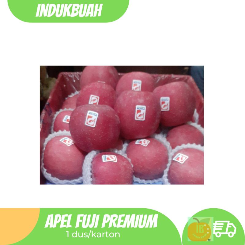 Indukbuah Buah Apel Fuji Premium 1 Dus 14 kg