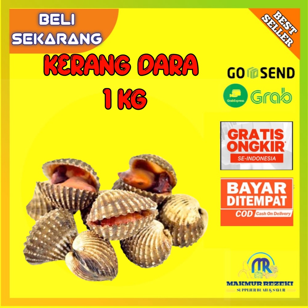 

KERANG DARA 1 KG TIDAK KUPAS