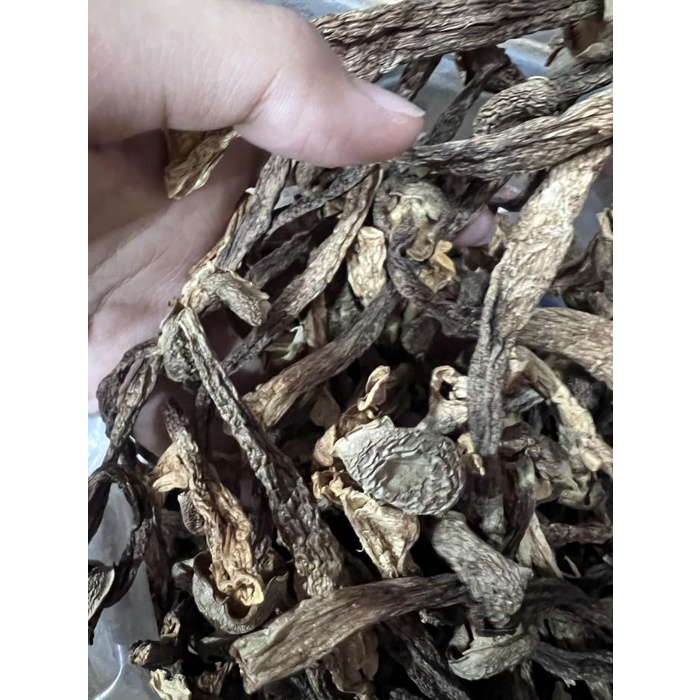 

Jamur velvet / lu rong gu 100gr Best Seller