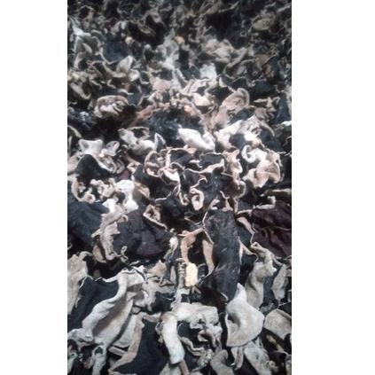 

Dijamin Ori>/ jamur kuping kering 1kg bisa cod