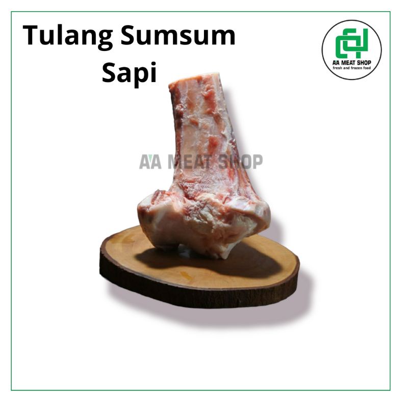 

TULANG SUMSUM SAPI
