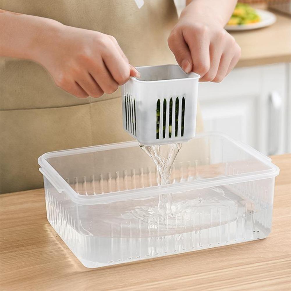 Suyo Kotak Penyimpanan Kulkas Daging Bening Fridge Organizer