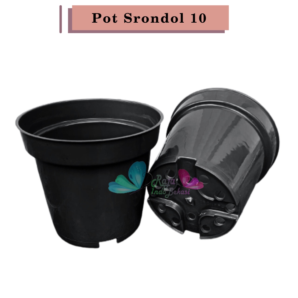 Pot 10cm Hitam Murah - Pot Bulat Mini Kecil Bisa Untuk Vas Bunga Pot 10 cm Hitam Polos Pot Tawon 10