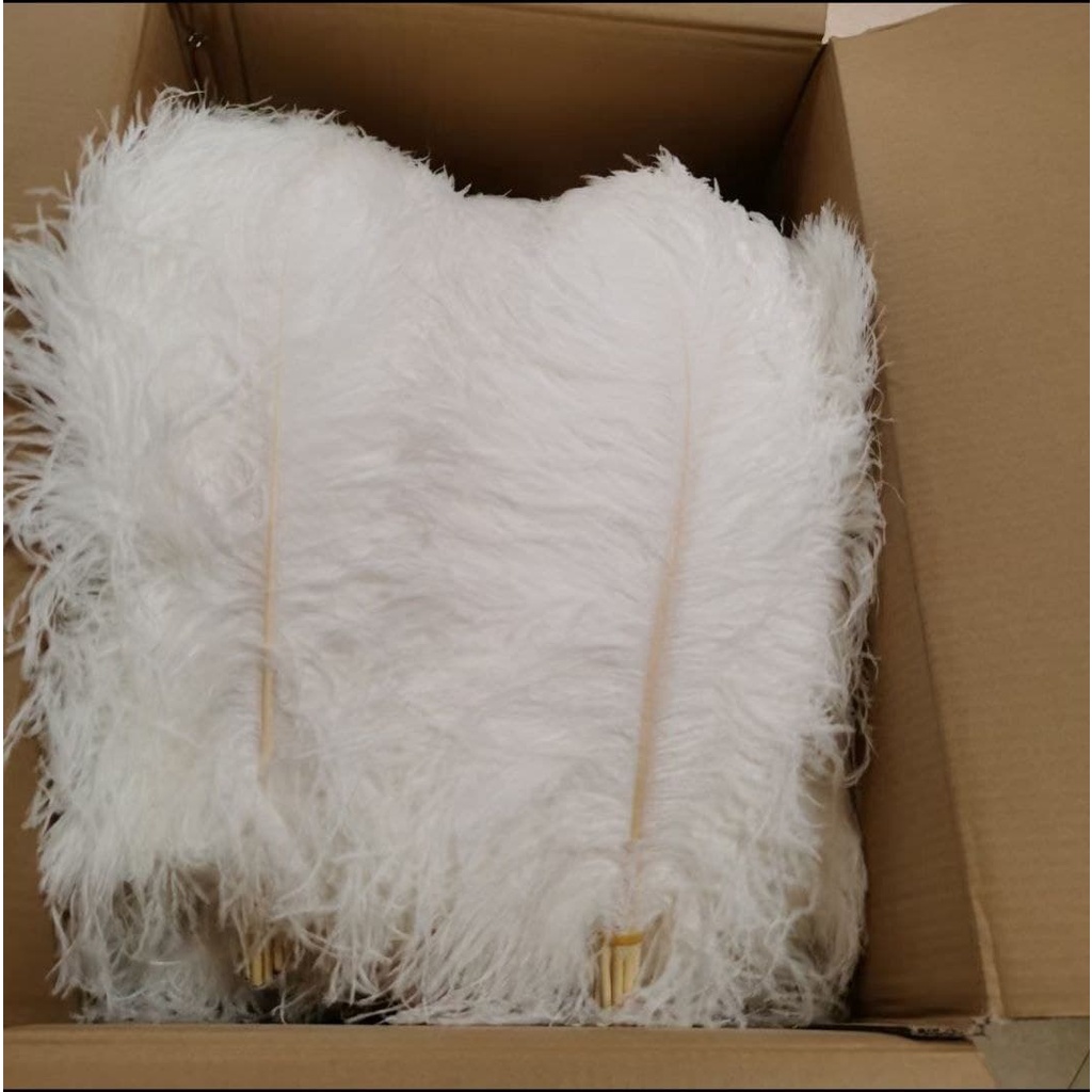 Bulu Ostrich 38-45 cm /Bulu Topi /Replika Bulu Dekorasi
