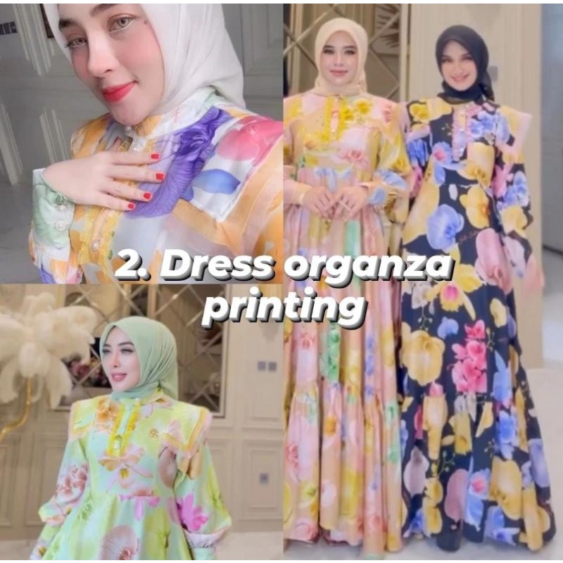 Dress Organza Printing Shellasaukia