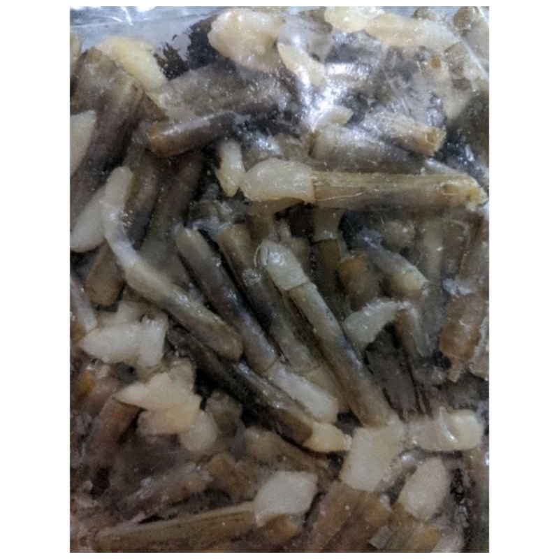 

kerang bambu mini 1kg