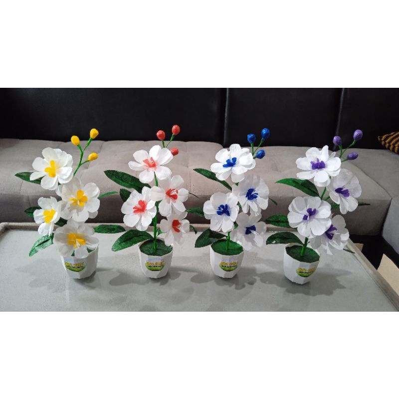 bunga warna warni pot 8