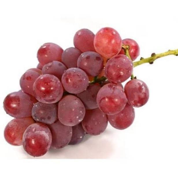 

Q79 Anggur Merah / Anggur Red Globe 500gr TERMURAH ロ