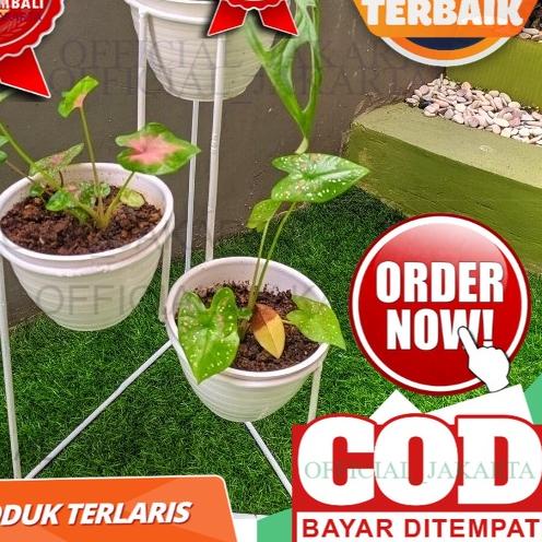 ✽ D15cm Rak Besi Pot Bunga Susun 3 ALAS SEGITIGA / Standing Pot Tanaman Hias ♧