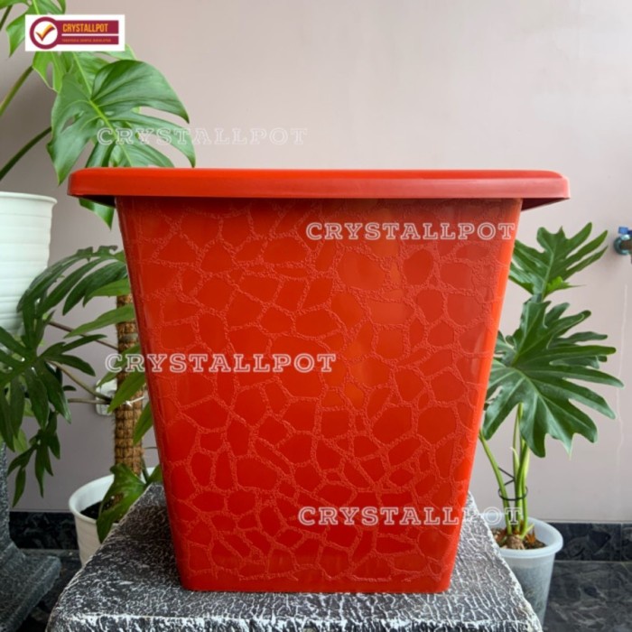 Poo Pot Besar Tanaman Hias Bunga Buah Kotak Hitam Merah Putih 40 45 Taman