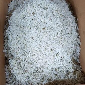 

❅ Teri Nasi Halus ung Balai ♬