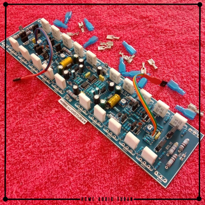 Kit Driver Amplifier PAST BTL BRIDGE  2U 30cm