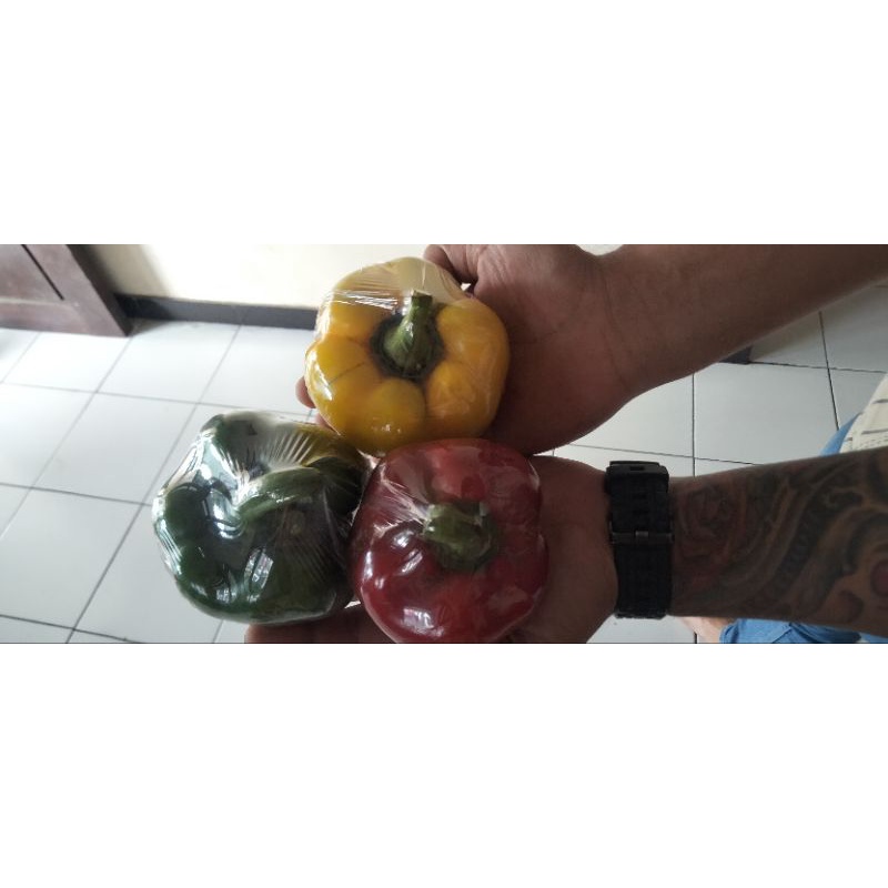 

paprika 3 warna