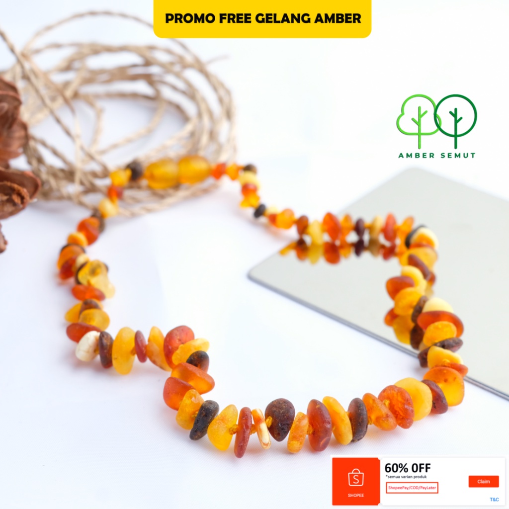 FREE GELANG - Kalung Amber Baltic Multicolor Chips Matte by AMBER SEMUT