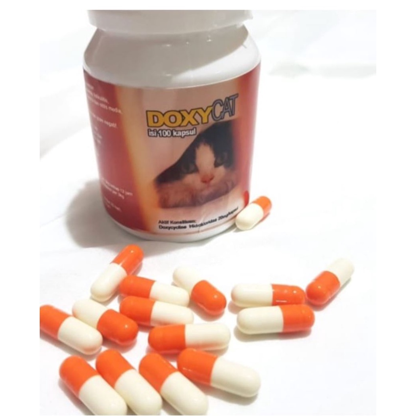 DoxyCat Im Organic Obat Flu Kucing