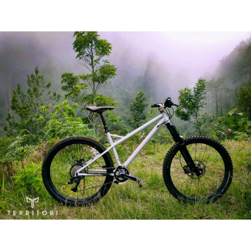 frame dan fork 29er travel 160. inner cable, As TA , HT tapered
