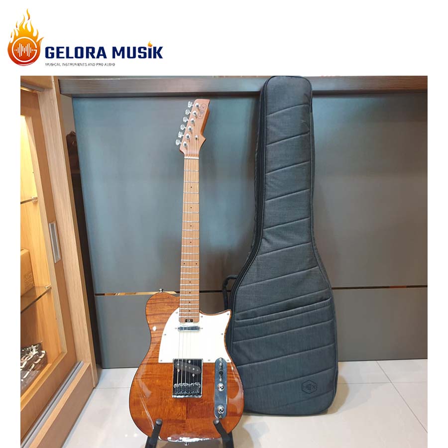 Gitar Elektrik Hex T200 SG/VN