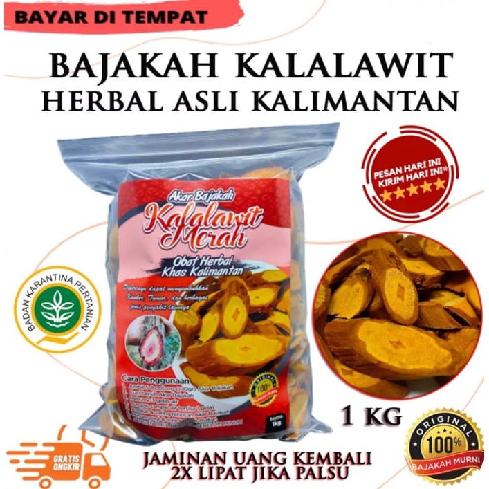 

[PROMO] Akar kayu bajakah asli/ teh herbal kalimanan/ minuma herbal kayu bajakah kalalawit merah asli