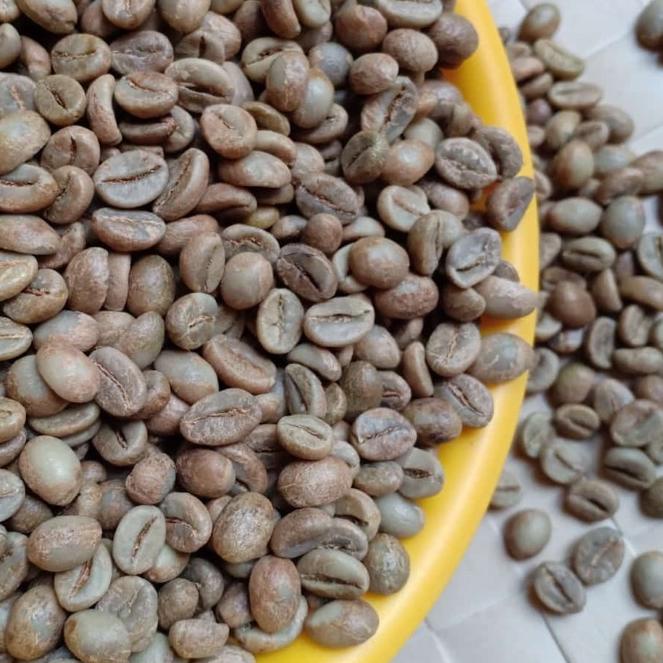 

➮ Green Bean Fine Robusta Temanggung ♟