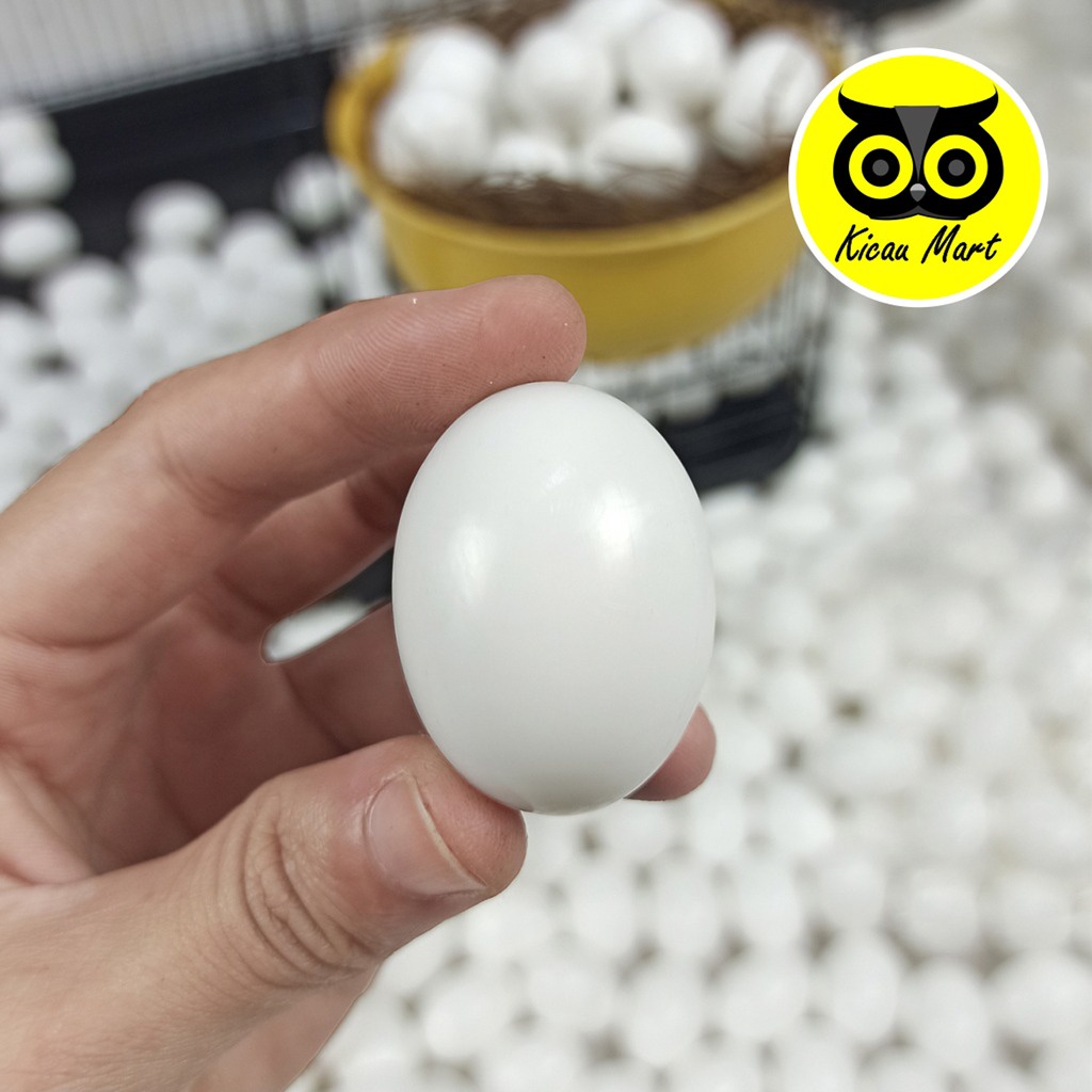 TELUR PALSU BURUNG MERPATI DUMMY EGG SILICON SOLID MAINAN BURUNG MERPATI ISI 100 PCS TELUR PALSU MERPATI AYAM KATE TELOR TELUR PALSU MERPATI IMITASI TELUR DUMMY REPLIKA FAKE EGG DENECDE100