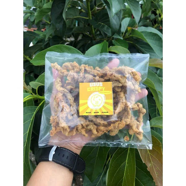 

usus KRISPY