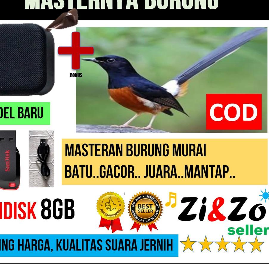 ❉ Speaker Mini T5 USB 8GB Bonus Isi MP3 Masteran Burung Murai Batu Gacor ◄
