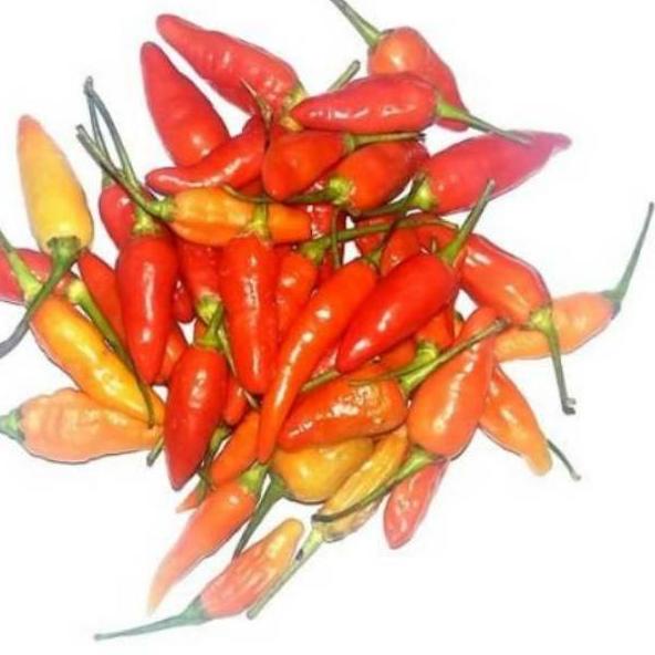 

✈ Cabe / cabai rawit merah - 500gram ←