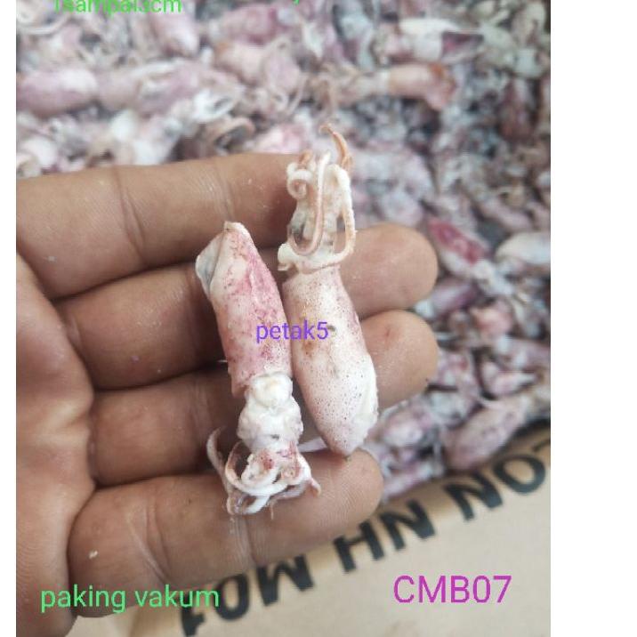 

☋ Cumi asin beby 1kg/ cumi asin baby/cumi asin rebus/cumi asin kecil ❂