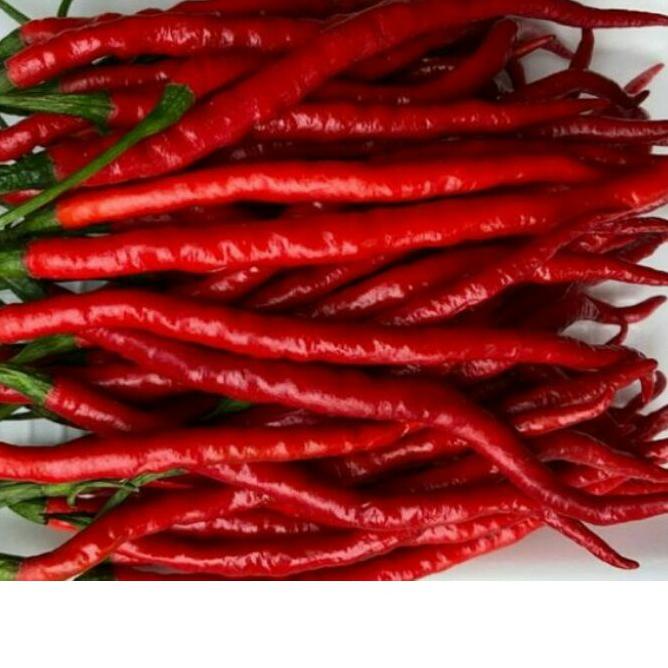 

♘ Cabe merah keriting 1 kg ☪