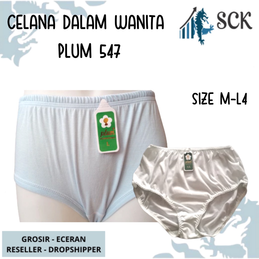 CELANA DALAM Wanita PLUM 547 / CD Karet Renda Warna Muda Ukuran JUMBO / Pakaian Dalam Wanita Ori - sckmenwear GROSIR