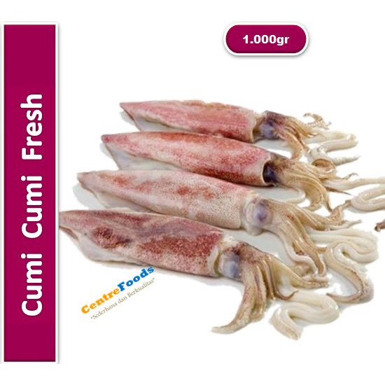 

Cumi Cumi - Cumi Bangka Fresh | 1.000gr [ Harga Per KG ]