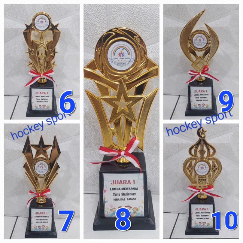 Trophy Piala Custom Trophy Mini Murah Piala Grosir 1 an