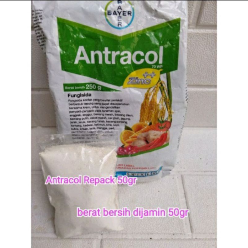 antracol asli 100% repack 50 gram fungisida antracol 70 wp kemasan